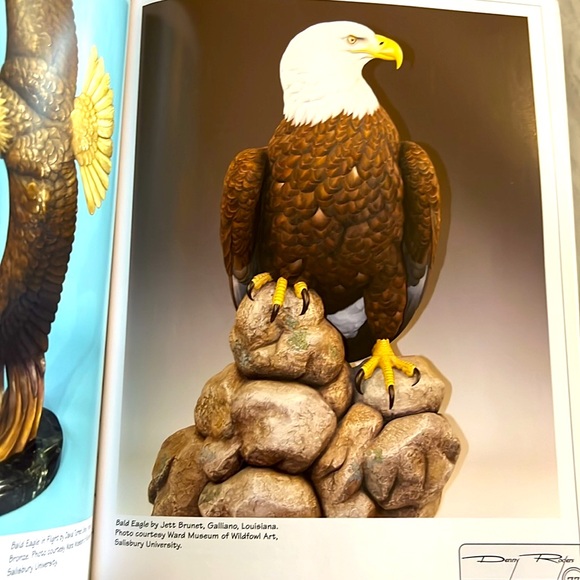 The Illustrated Bald Eagle by Denny Rogers Softcover Book EXC - Picture 15 of 16